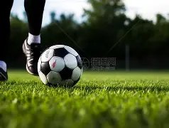 常规赛焦点,辽宁对阵青,惊艳瞬间回,大赢家足球比分网,体育官网,平台入口,足球比分,即时比分,比分直播