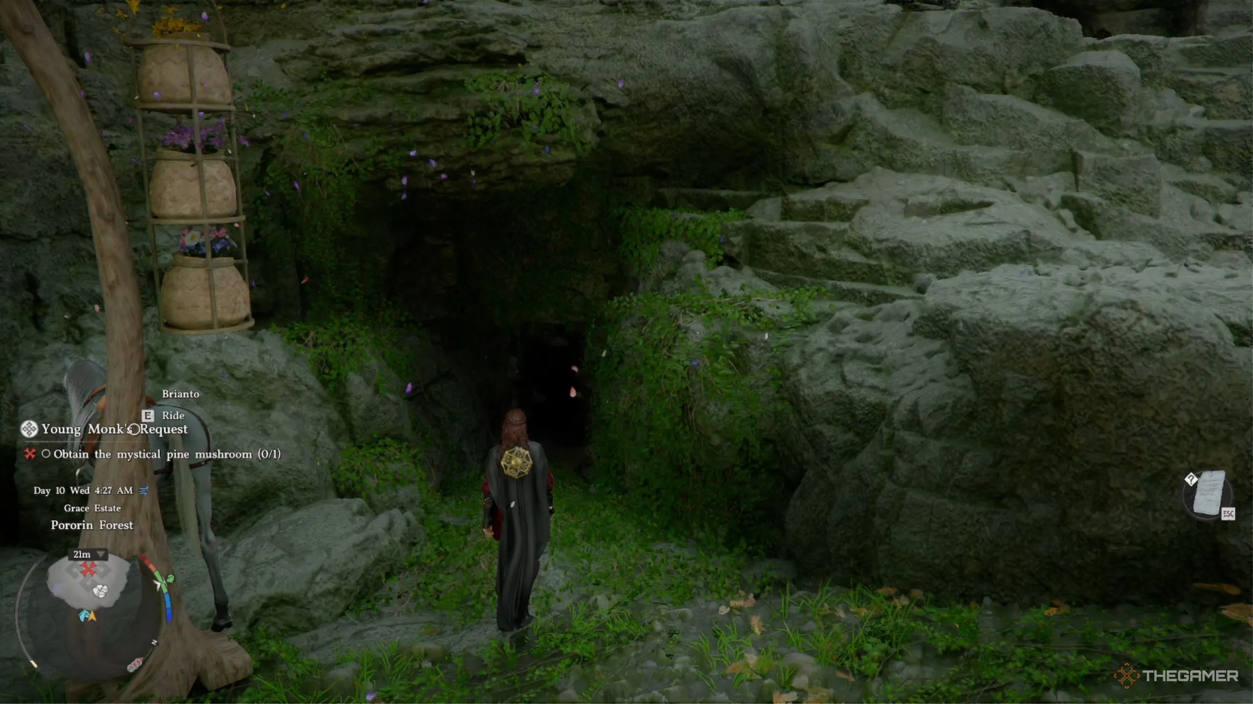 澳超专家逢,春哥大乐透,期号推荐,大赢家足球比分网,体育官网,平台入口,足球比分,即时比分,比分直播