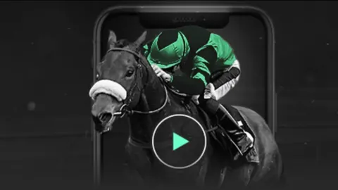 广东队计划招募两位外籍球员，或将推迟一名外援注册手续。