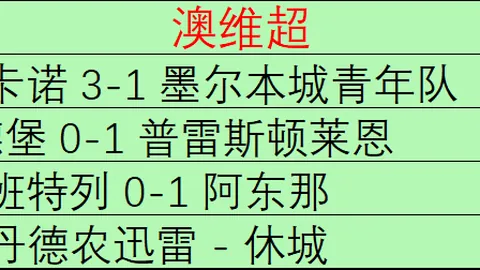 大赢家足球比分 110348