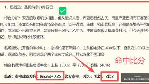 大赢家足球比分 112010